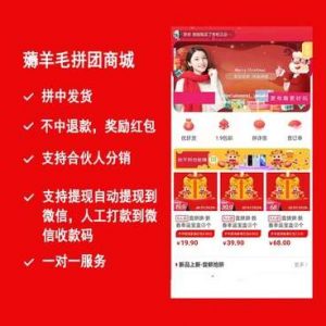薅羊毛拼团商城小程序源码v2.8.6+前端-智多资源网