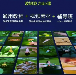 视频制作视频通用教程+视频素材+辅导班-智多资源网