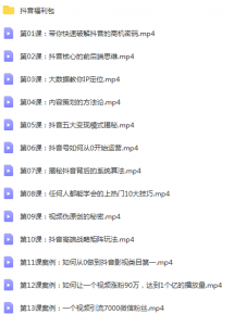 如何从0起步,打造100万粉丝抖音月入5万+?-智多资源网