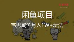 【闲鱼】宅男咸鱼月入1w+玩法-智多资源网