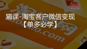 【淘宝】猫课-淘宝客户微信变现【单多必学】(价值3380)-智多资源网