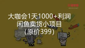 【闲鱼】财神大咖会1天1000+利润闲鱼卖货小项目(原价399)-智多资源网
