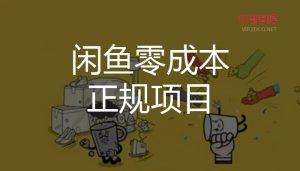 【偏门】闲鱼0成本正规项目(偏门老杨)-智多资源网