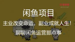 主业改变命运,副业成就人生!聊聊闲鱼运营那点事-智多资源网