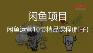 【闲鱼】闲鱼运营10节精品课程(胜子)-智多资源网