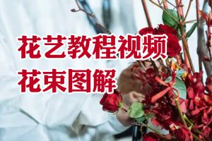 花艺教程视频花束图解-智多资源网